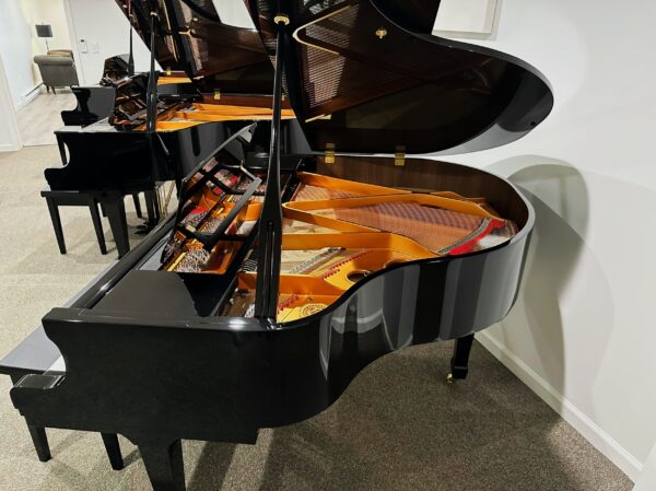 photo of the Cristofori G410L from the side