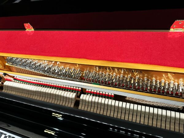 Photo of the inside of the Cristofori V465