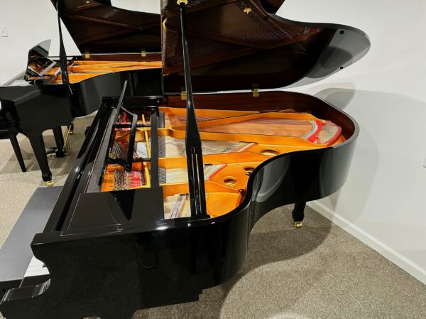 photo of the Cristofori G53L from the side