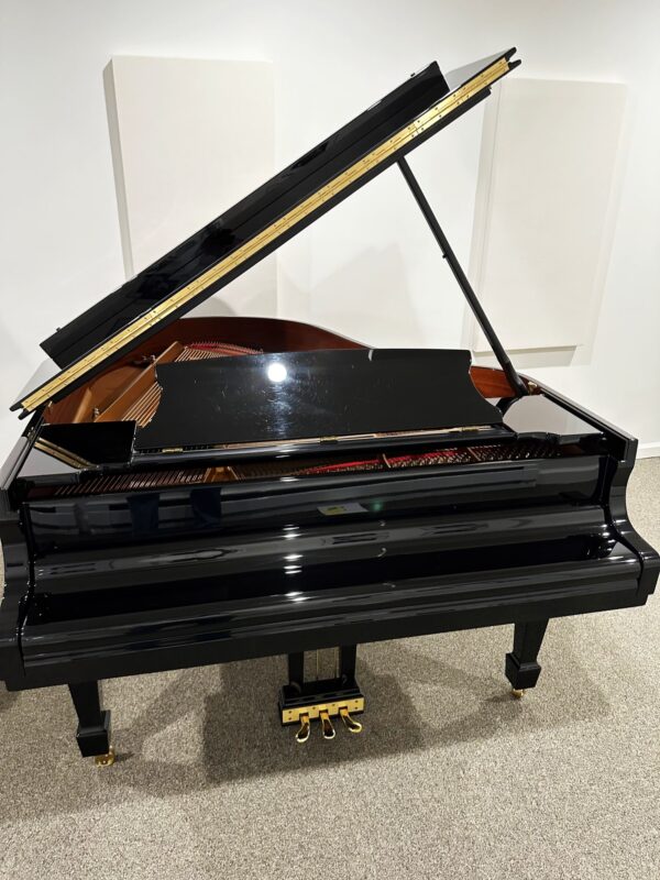 photo of the Used Steinway M EP with the lid closed