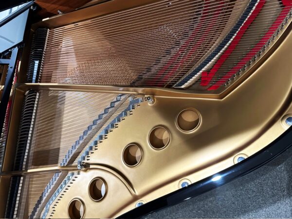 photo of the Used Steinway M EP 7 Plate