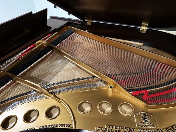 photo of the Used Steinway M Mahogany Plate