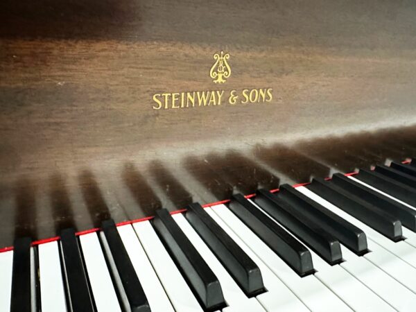 Closeup of the Used Steinway M Mahogany Logo and Keys