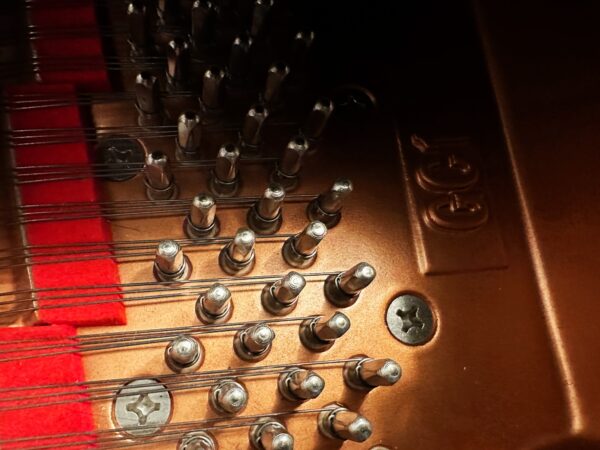 Closeup photo of the Used Yamaha GC1 Tuning Pins