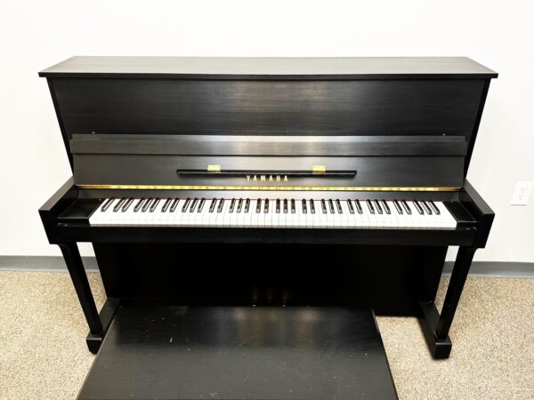 photo of the Used Yamaha T116 Satin from the front