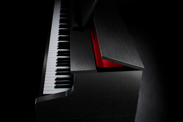 Casio Celviano GP-310 Floor Model Clearance