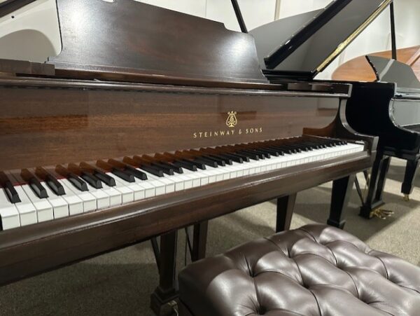 Preowned Steinway & Sons Mahogany Model M Grand- Timeless Beauty with Remarkable Tone